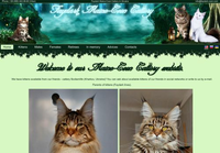 Faydark Maine-Coon Cattery - Питомник Прекрасных Мейн-кун Котов
