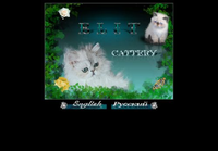 ElitCats.com - Расцвети Вместе с Прекрасными Породами Кошек: Британские, Шотландские, Персидская Шиншилла и Экзоты