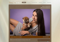Питомник собак сиба-ину Destini Gift: Щенки сиба-ину и Качественные Бенгальские Кошки в Украине